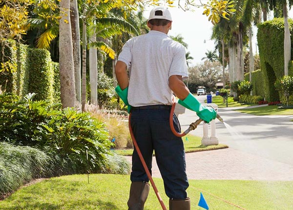 About Princeton MA Pest Control Pros